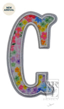 Load image into Gallery viewer, MEADOW FLORAL APPLIQUÉ LETTERS
